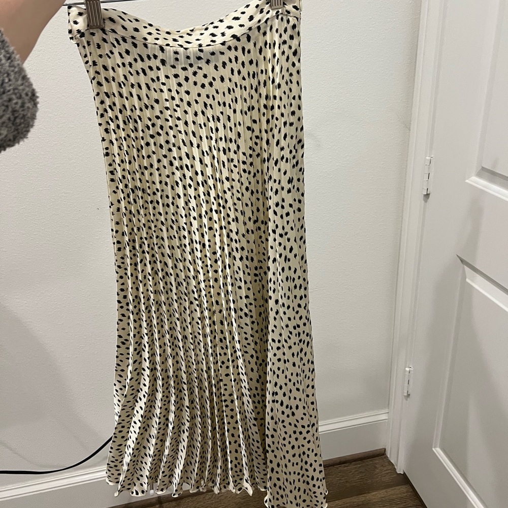 Zara maxi skirt